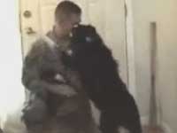 Dogs Greet Soldier Returning From Iraq