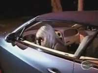 Paris Hilton Runs Out Of Gas
Funny videos